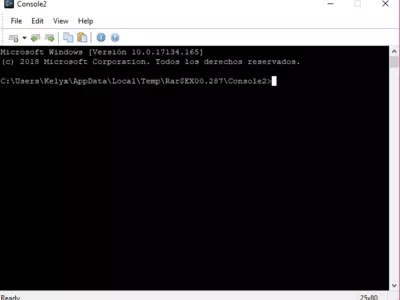 Console screenshot