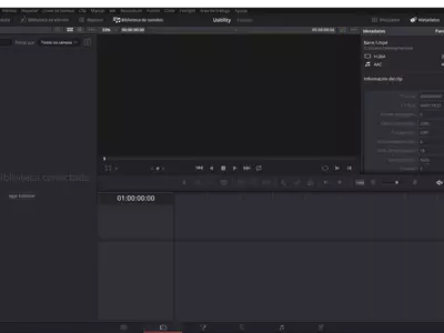 DaVinci Resolve screenshot 30