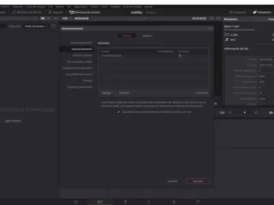 DaVinci Resolve screenshot 31
