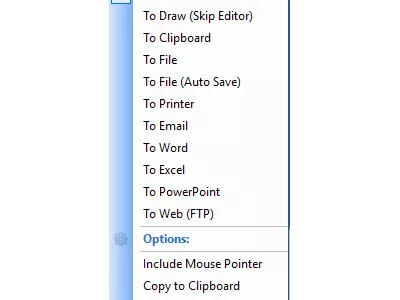 FastStone Capture screenshot 3