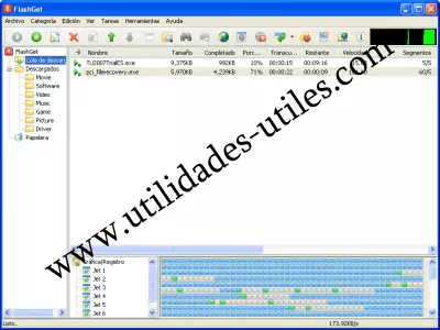 FlashGet screenshot 2