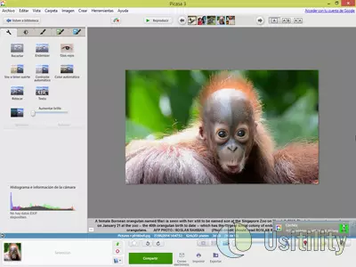 Picasa screenshot 14