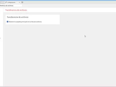 AnyDesk screenshot 13