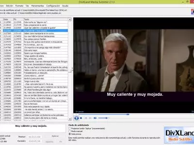 DivXLand Media Subtitler screenshot 16
