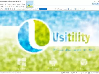 Paint.NET screenshot 1