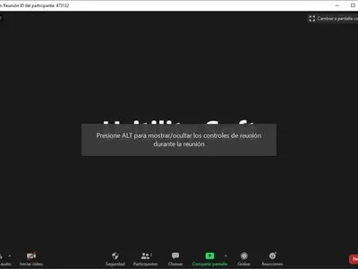 Zoom screenshot 16