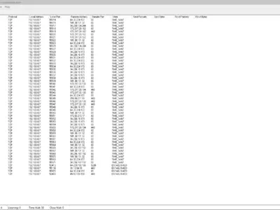 TCPView screenshot 5