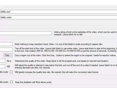 WebMConverter screenshot